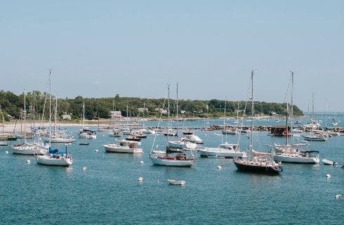 A large harbor filled with sailboats with beach lined with trees and blue skles overhead