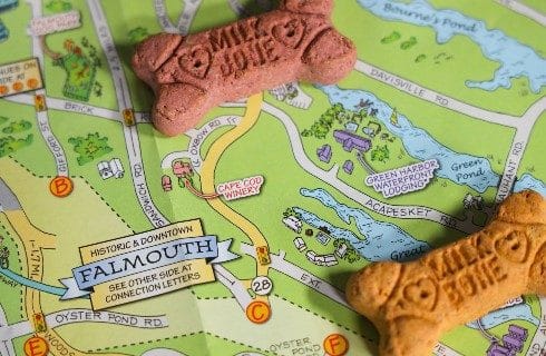 Colorful map showing streets and attractions with two milkbone dog biscuits