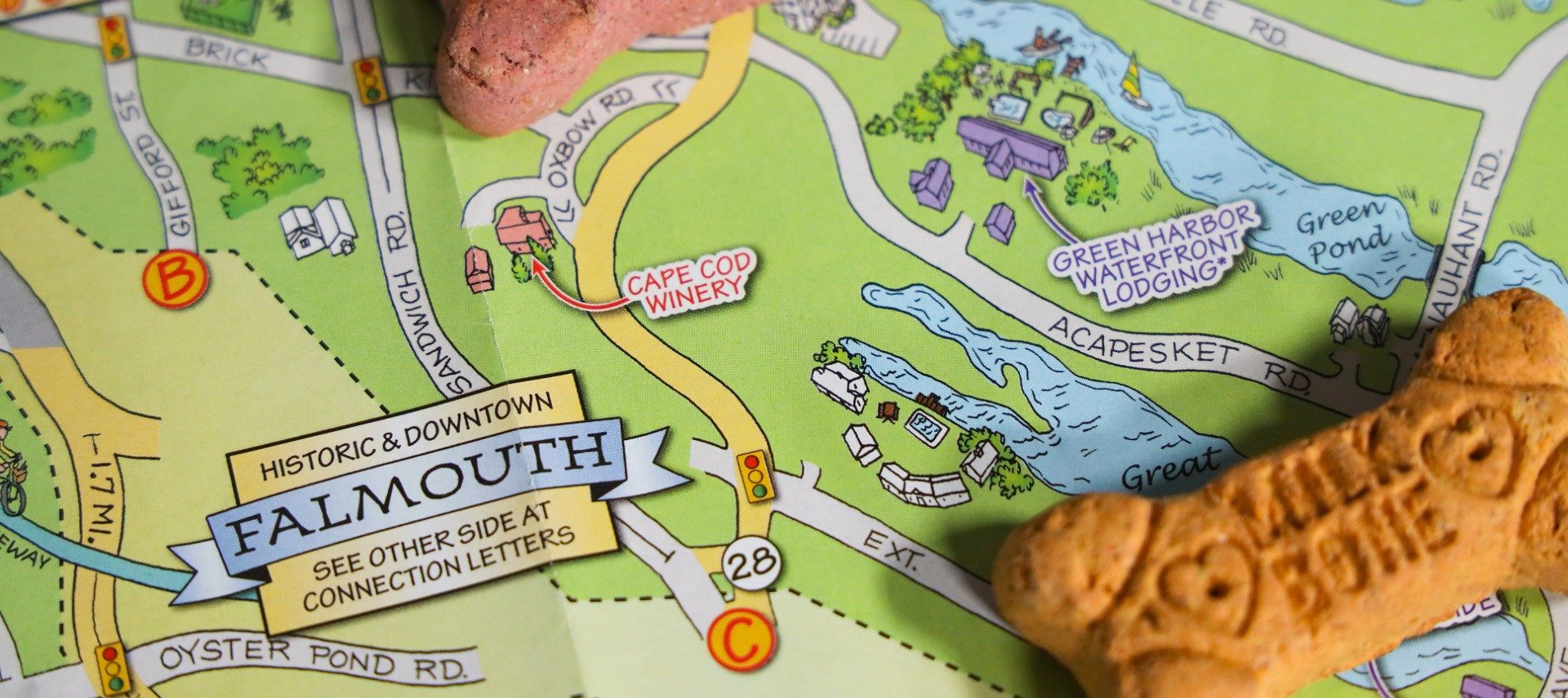 Colorful map showing streets and attractions with a milkbone dog biscuit
